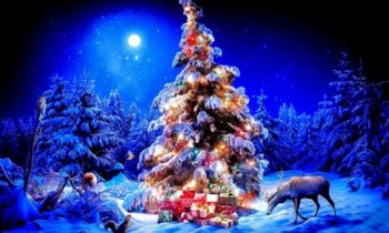 С наступающим Новым Годом!