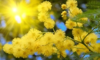 С праздником весны и любви!