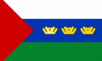 Открылось тюменское региональное отделение «Безопасного отечества»